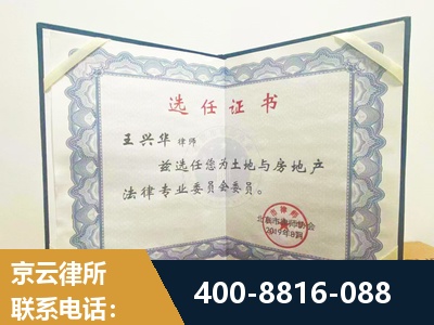 罗定-遗产分割